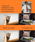 .Brownsfanscats3.png