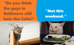 .Brownsfanscats4.png