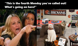 whiskas.png