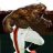 DawgFan